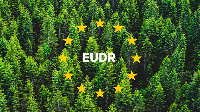 NL_EUDR.jpg NL_EUDR.jpg